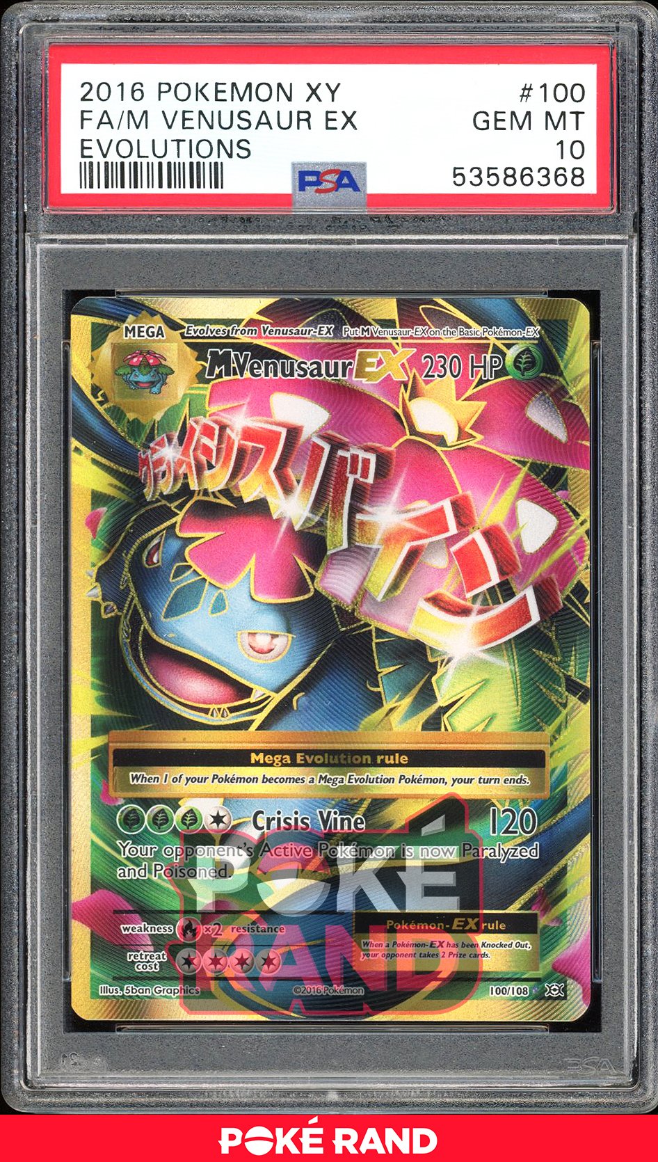 M Venusaur Ex  - PSA 10 - Evolutions - #100 - Holo