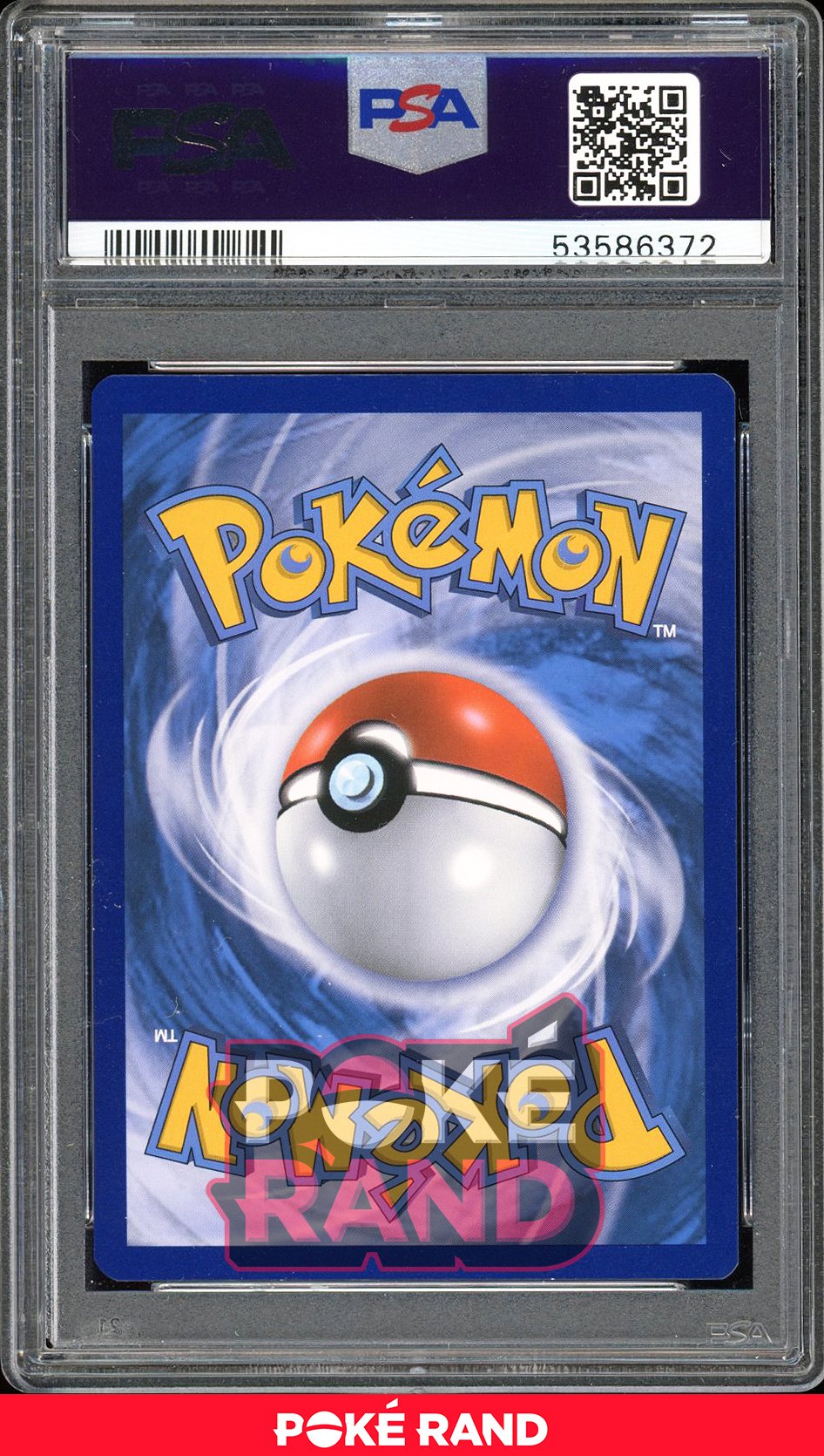 Dragonite  - PSA 10 - Evolutions - #106 - Holo